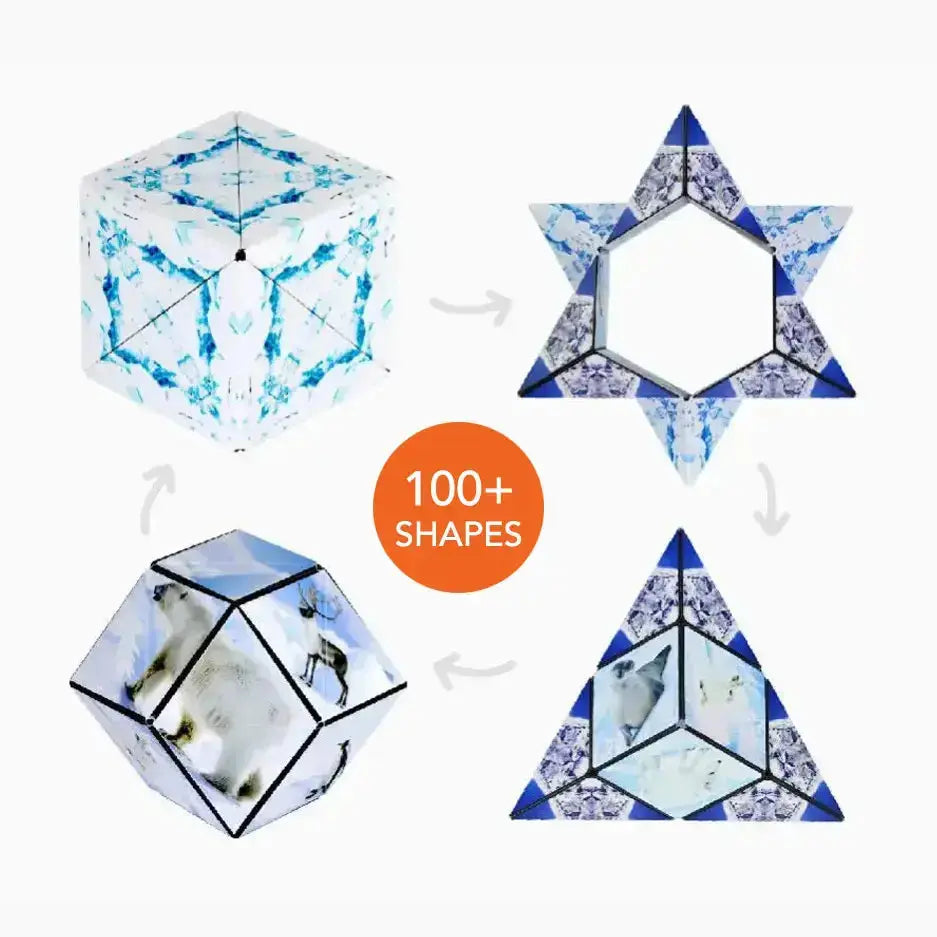 Wild Series Fun In Motion Toys