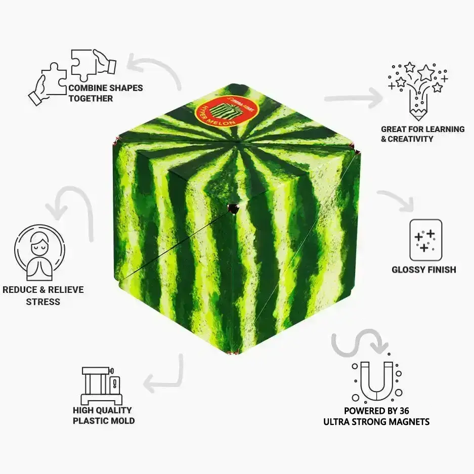 Shashibo Fun In Motion Toys