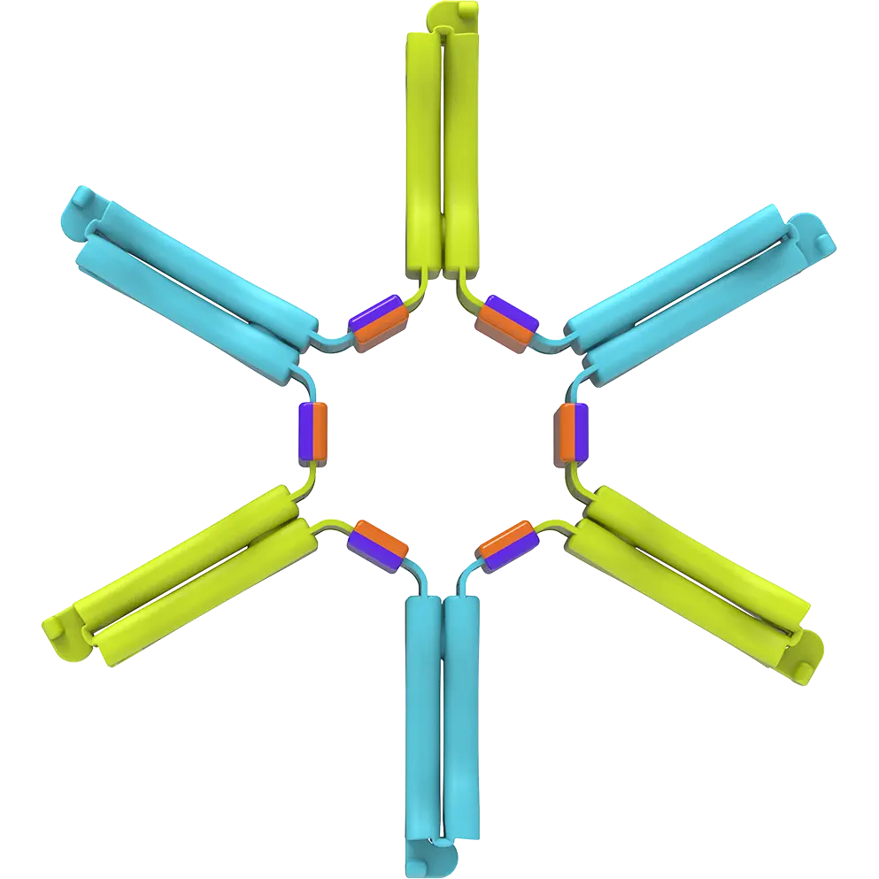 Nockles™ Loop Fun In Motion Toys