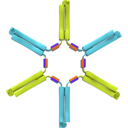 Nockles™ Loop Fun In Motion Toys